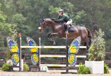 Caroline Adams and Djebelle Du Cloferre Dominate $2,500 Adequan Open Welcome at HITS Culpeper
