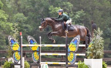 Caroline Adams and Djebelle Du Cloferre Dominate $2,500 Adequan Open Welcome at HITS Culpeper