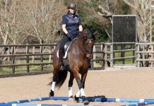 Polework Exercises: The Square