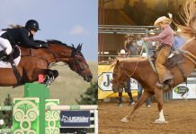 Carly Richardson Forges Her Own Path