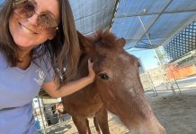 Consent and Grief in Coachella