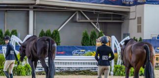 The Hidden Epidemic of Perfectionism in Junior and Amateur Riders