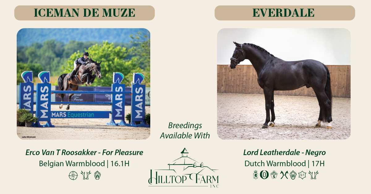 Hilltop Farm