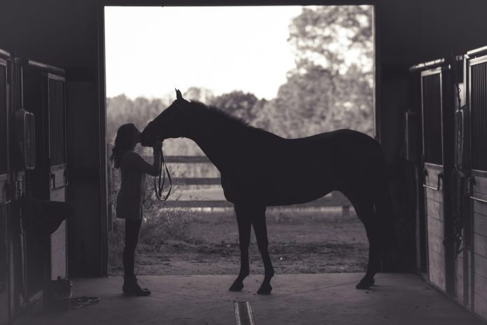 horse_spons_post