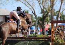 Junior to Professional Can Be A Hard Transition