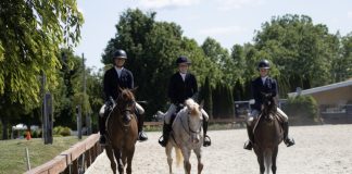 The Ridge at New Jersey and Florida Announces the 2026 Show Schedule