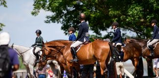 The Mental Health Crisis Nobody Talks About at the Barn