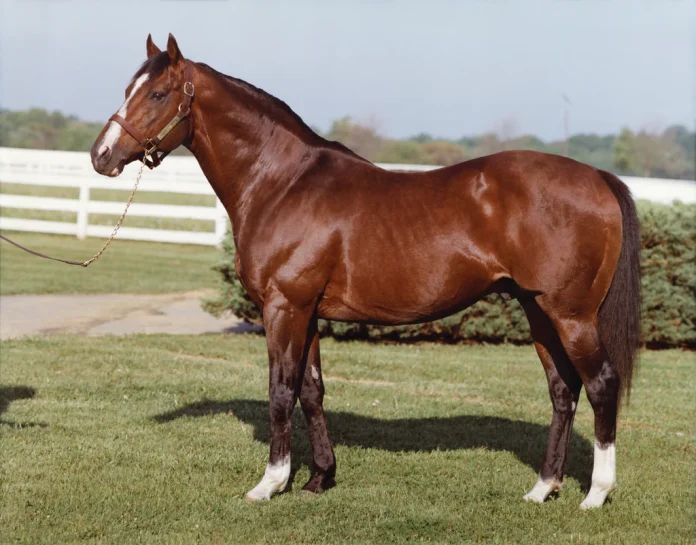 northern-dancer
