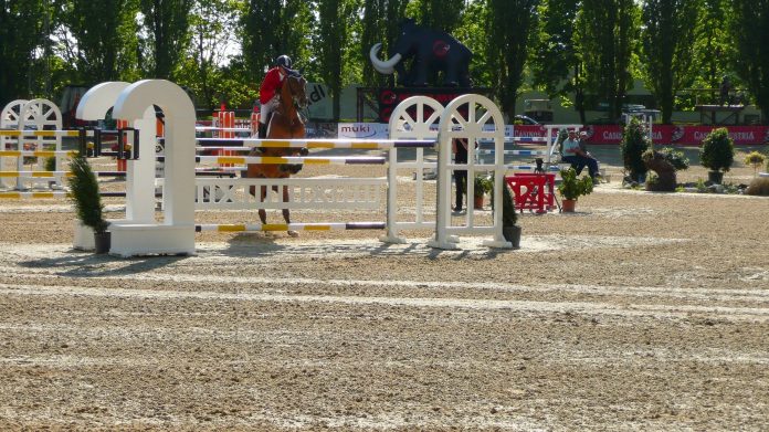 vantage equestrian pic