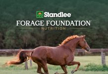 Standlee Launches Forage Foundation™ to Advance the Role of Forage in Equine Nutrition