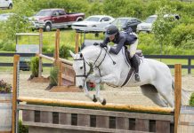 Trainer Tuesday: How Do You Help A Rider Improve Their Release Over Fences?