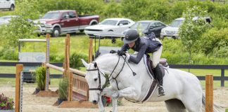 Trainer Tuesday: How Do You Help A Rider Improve Their Release Over Fences?