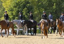 Trainer Tuesday: How Do You Work With A Horse Who Gets Nervous In The Schooling Arena?