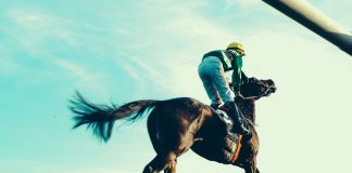 The Pari-Mutuel System Supporting the Whole Structure