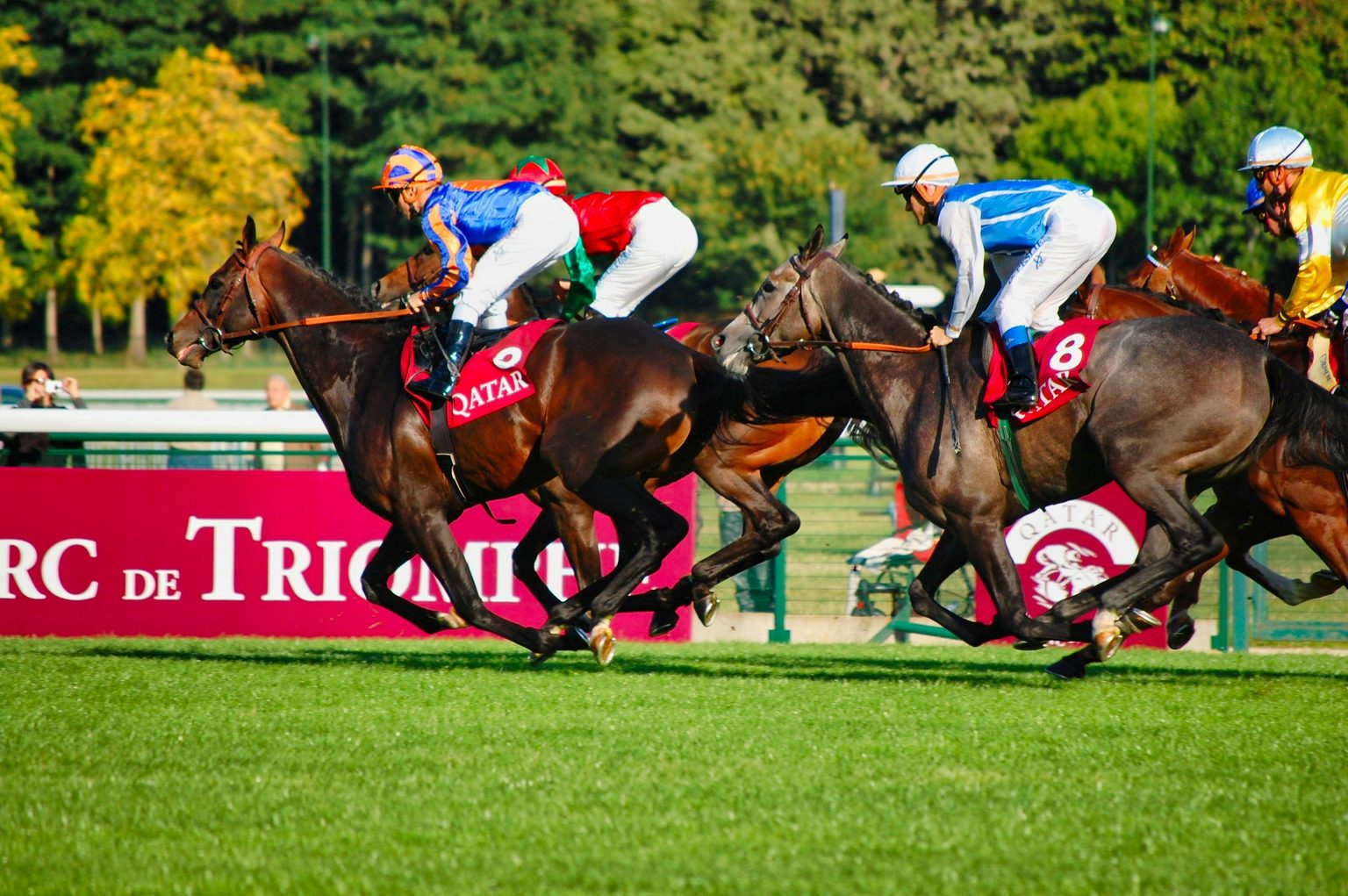 Who Are the Favorites to Win the Biggest Horse Races Still to Come in ...
