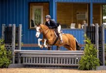 From An Unbroke Two-Year-Old to Pony Finals Competitor