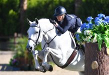 Reflections on Becoming Professional