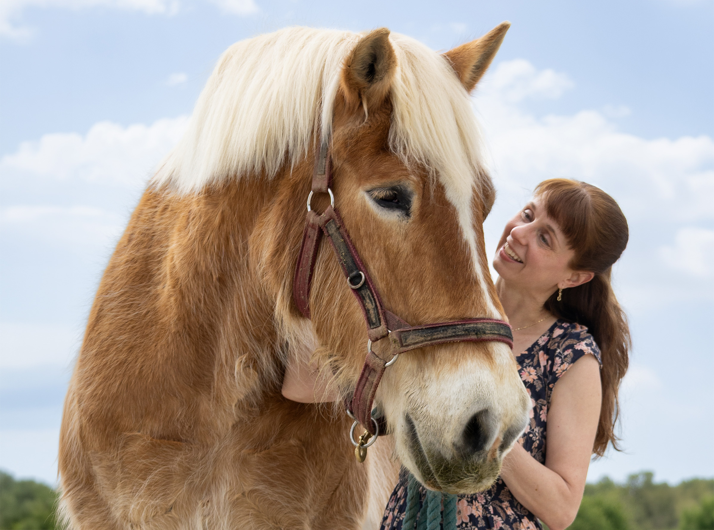 Lessons from Barney - The Plaid Horse Magazine