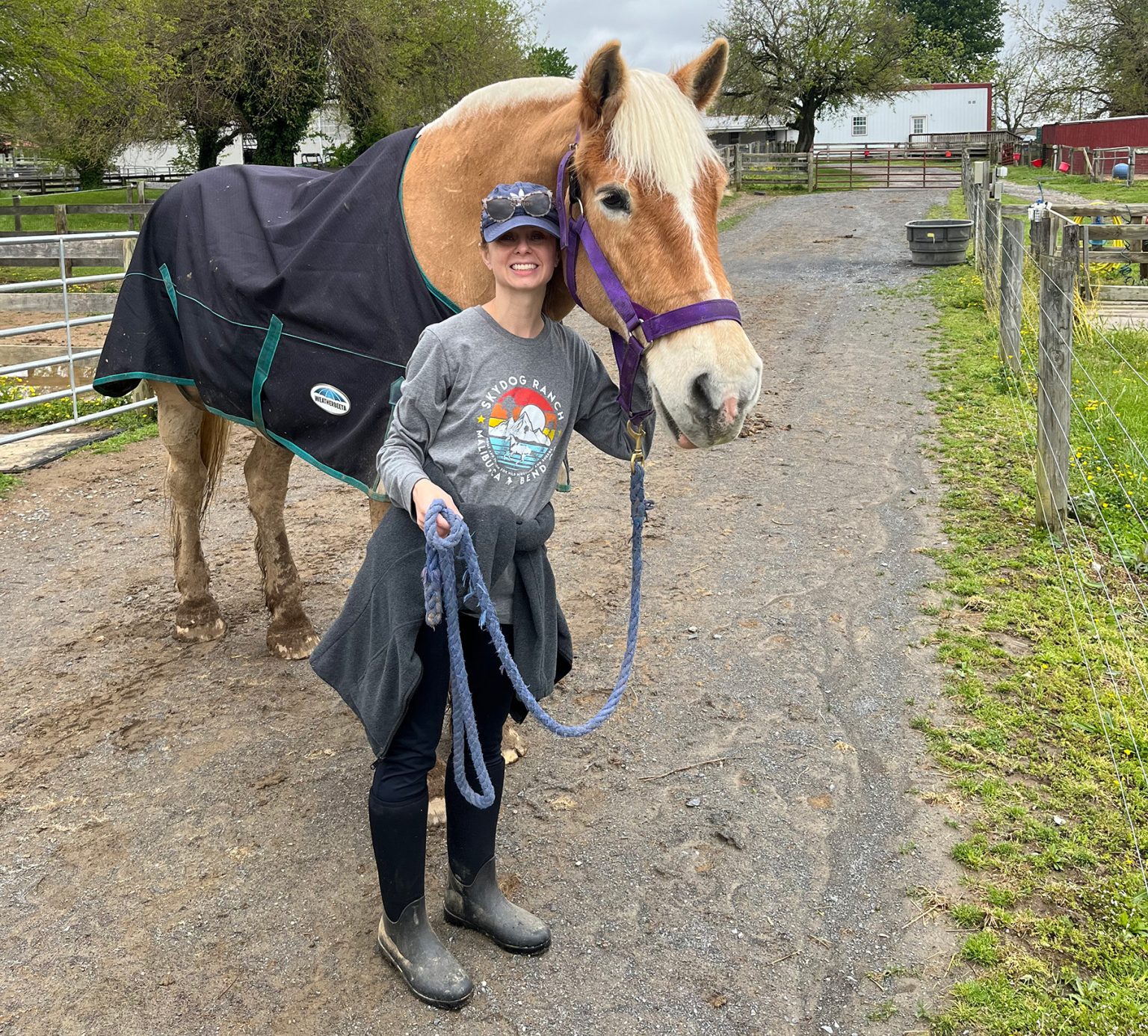 Lessons from Barney - The Plaid Horse Magazine