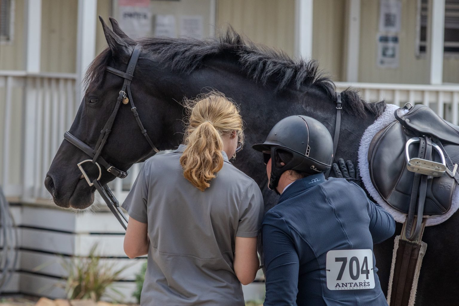 Hack Hourses Only What Do We Really Owe Each Other with Horse Show Splits? - The Plaid ...